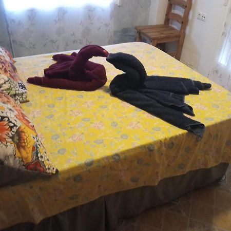 Apartamento Maite Guardamar del Segura Pokoj fotografie